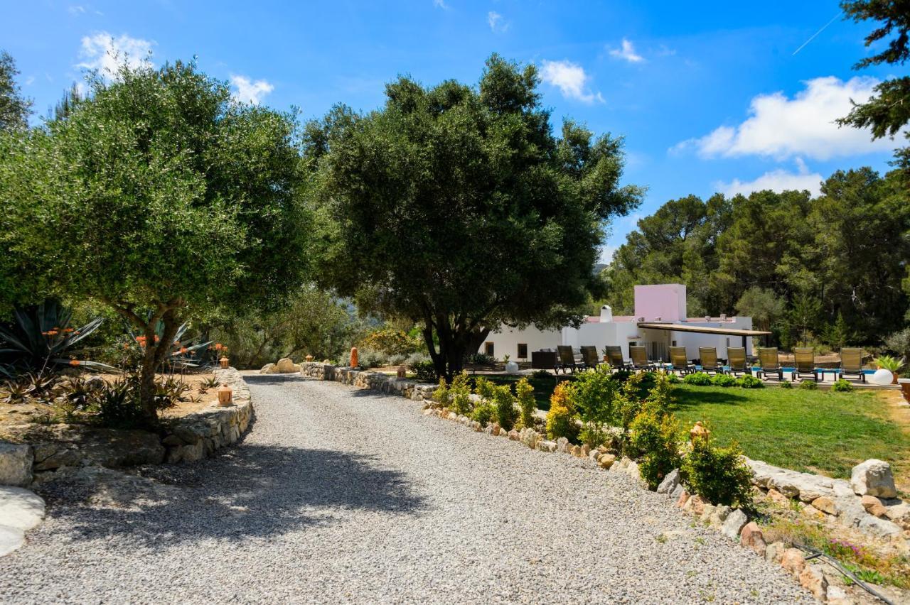 Villa New! Rafalet San José